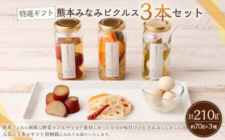 【熊本みなみピクルス】特撰ギフト桐箱3本セット