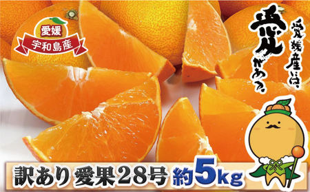 みかん 訳あり 愛果28号 5kg 中井屋 みかん B015-173001