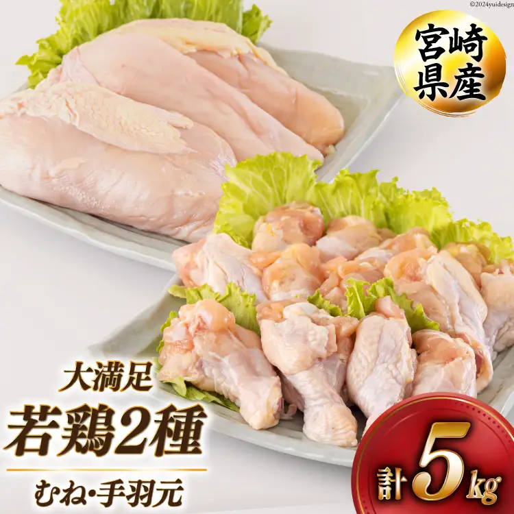 若鶏 むね 手羽元 合計5kg 1kg包装 [アグリ産業匠泰 宮崎県 美郷町 31be0044]