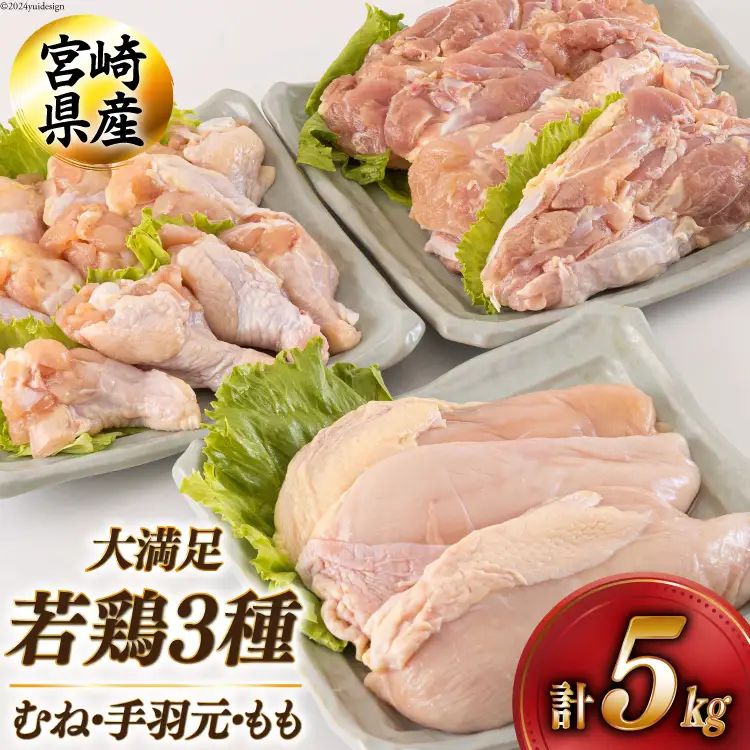 若鶏 むね 手羽元 もも 合計5kg 1kg包装 [アグリ産業匠泰 宮崎県 美郷町 31be0045]