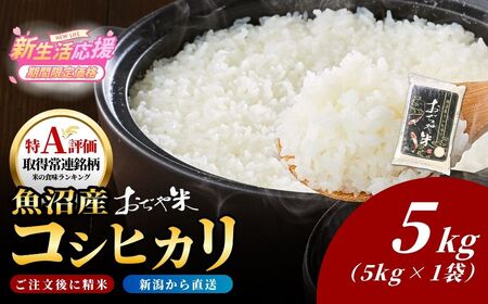 コシヒカリ 新潟産  5kg | 魚沼 小千谷市 令和7年 コシヒカリ おぢや米  