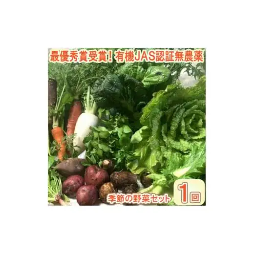【最優秀賞受賞！甘味＆栄養】有機JAS認証の無農薬、チヨちゃんの野菜１回のみ[952]