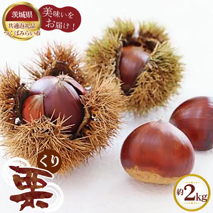 【先行予約】栗　約2kg【茨城県共通返礼品 つくばみらい市】 No.292