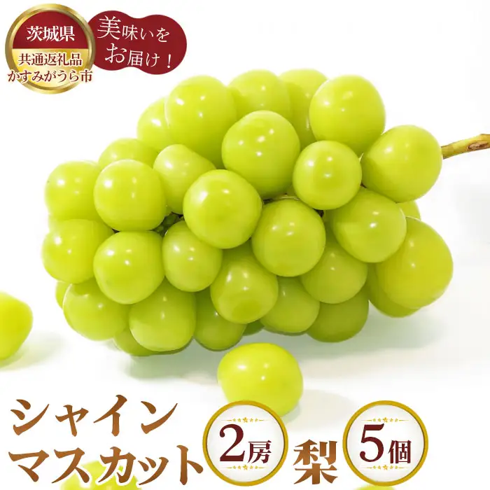 【先行予約】シャインマスカット2房と梨5個【茨城県共通返礼品 かすみがうら市】 No.308