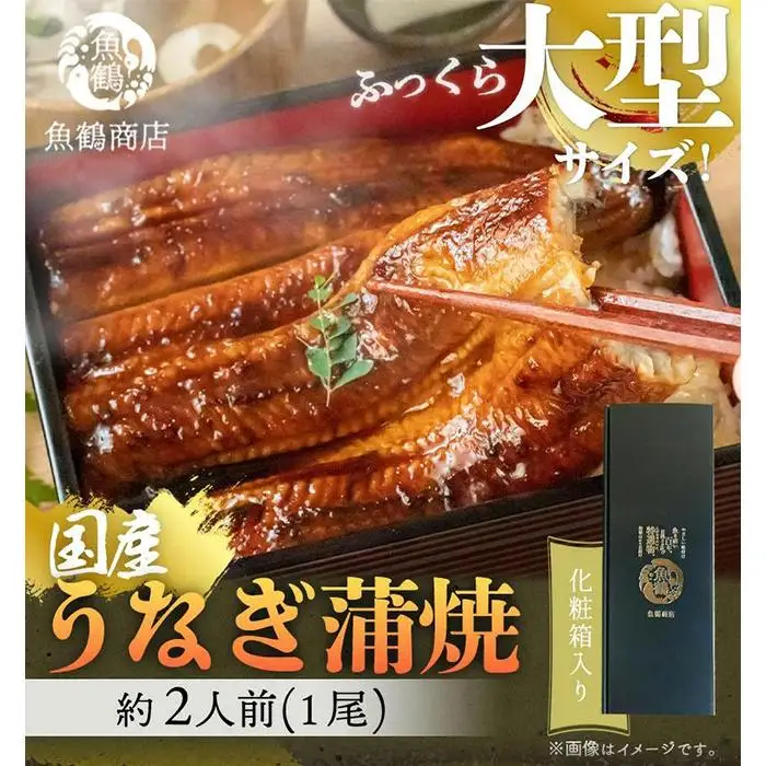 大型サイズ ふっくら柔らか 国産うなぎ蒲焼き 1尾（約2人前）化粧箱入［夏土用の丑の日のうなぎ］［～7月26日までにお届け］［UT04］