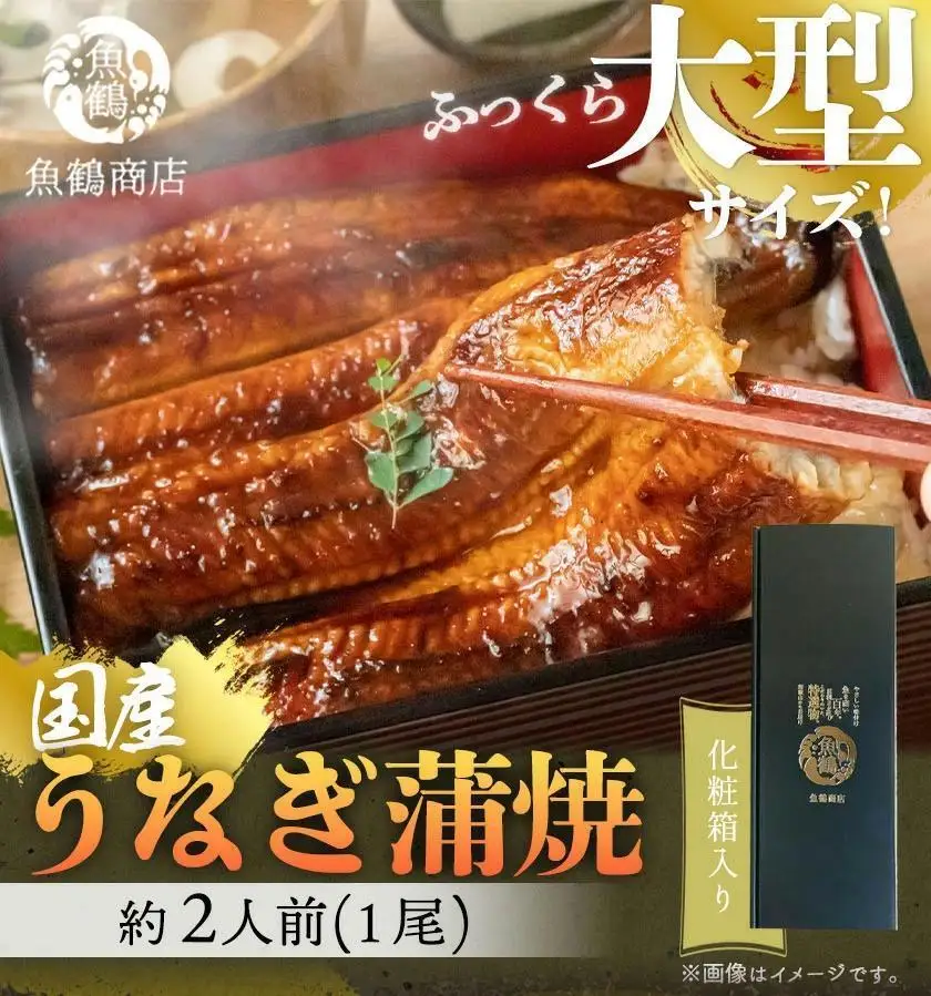 鰻 大型サイズ　ふっくら柔らか　国産うなぎ蒲焼き　１尾（約2人前）化粧箱入［夏土用の丑の日のうなぎ］［～7月26日までにお届け］［UT04］