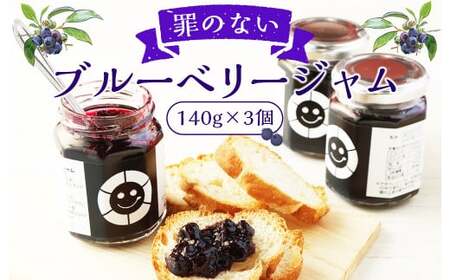 罪のない ブルーベリージャム 420g (140g×3個) 大分県産 ジャム ギルトフリー 砂糖不使用 凝固剤不使用 保存料不使用