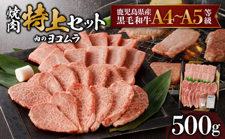 【 鹿児島 黒毛和牛 A4 ～ A5 】 焼肉 特上 セット ( 特上カルビ / 特上ロース ) K189-007 肉 牛肉 冷凍