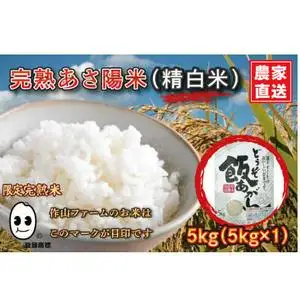 【精白米】令和7年産 特別栽培米 ひとめぼれ 5㎏ 白米 CP028