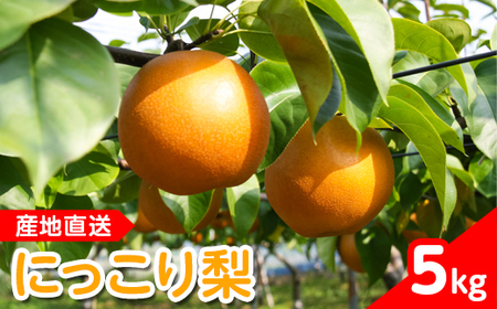 【産地直送】にっこり梨（5玉～7玉） ◇ ※2026年10月～発送