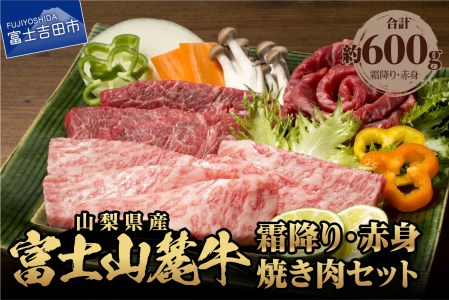 山梨県産富士山麓牛霜降り・赤身焼き肉セット(600g) 牛肉 食べ比べ 計約600g  国産  霜降り 冷凍 送料無料 