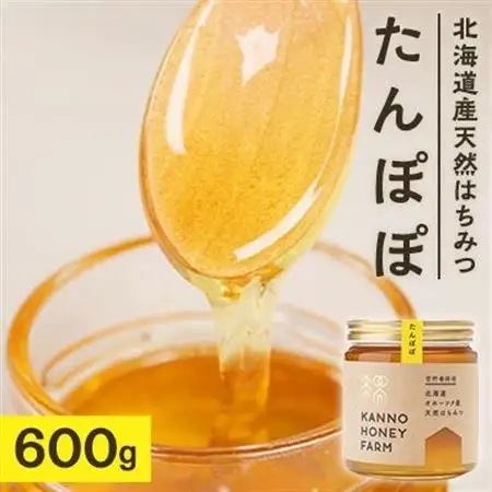 北海道産天然はちみつ　たんぽぽ　600g【配送不可地域：離島・沖縄県】【1056687】
