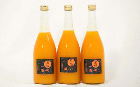 【無添加】 田村 みかん の新鮮100％ ジュース 「至極の一滴」720ml×3本入り / 飲料 ドリンク ※2026年3月上旬頃より順次発送予定 【tec933A】