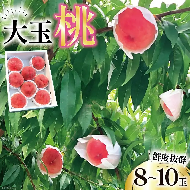 【2026年発送】 桃 山梨 大玉 8～10玉 約 3kg もも モモ 3キロ 果物 フルーツ くだもの 果実 朝採れ 朝どれ 旬 季節限定 期間限定 数量限定 冷蔵 大玉桃 デザート 農園産直 産地直送 ジューシー 厳選 [斉藤農園 山梨県 韮崎市 20743041]
