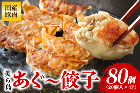 餃子 80個セット 20個入×4パック あぐー 61-3