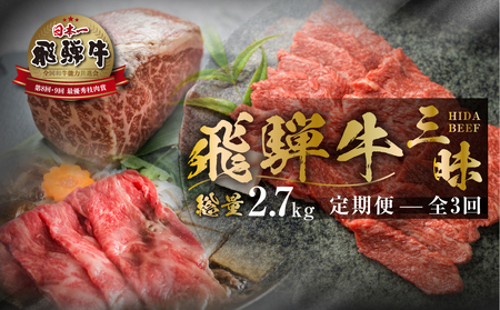 【まるごと定期便】飛騨牛三昧 総量 2.7kg 全3回 お届け 定期便 [S525]