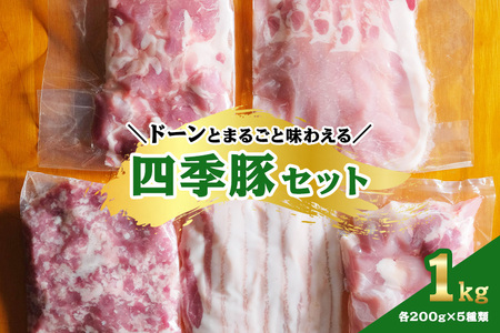 四季豚　ドーンとまるごと味わえる１kgセット IX-001