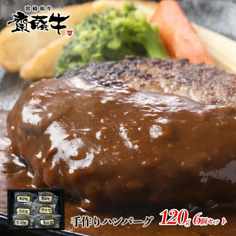 宮崎和牛「齋藤牛」牛100％プレミアムハンバーグ120g×6個＜5-5a＞