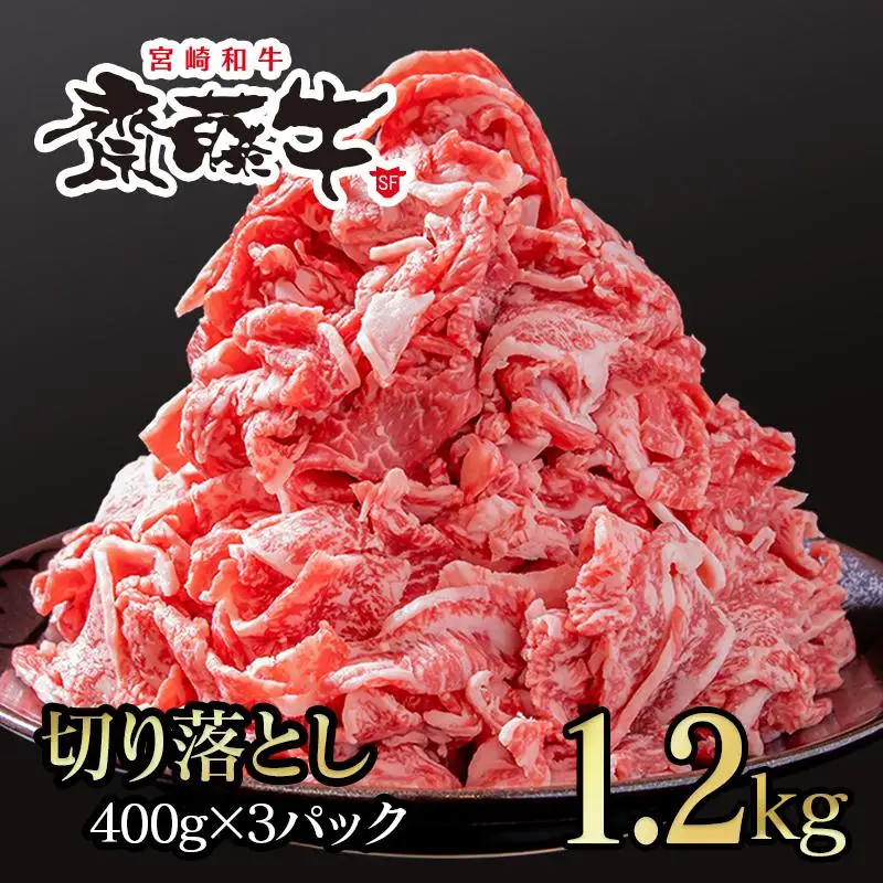 黒毛和牛「宮崎和牛 齋藤牛」切り落とし1.2kg（400g×3）小分け 国産牛肉＜5-9a＞