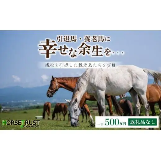 ホーストラスト北海道支援 500万円コース 引退馬 F21H-571
