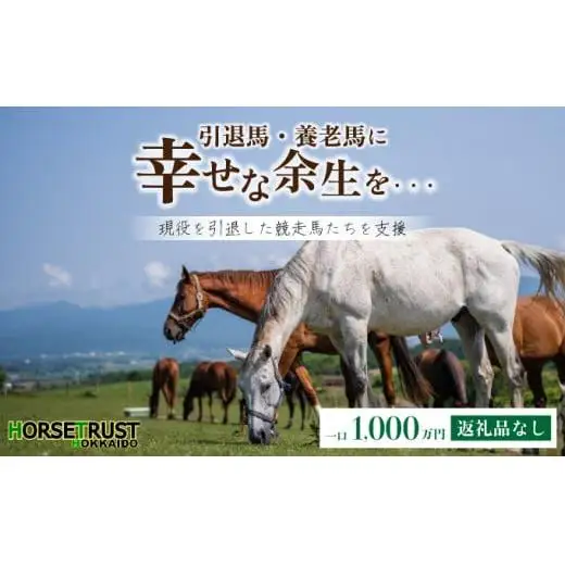 ホーストラスト北海道支援 1000万円コース 引退馬 F21H-411