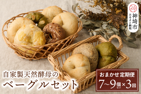 【定期便3回】自家製天然酵母のベーグルセット【パンと器のコネル】(H094118)