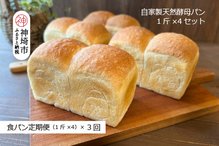 【定期便3回】自家製天然酵母の食パン 4斤【パンと器のコネル】(H094126)