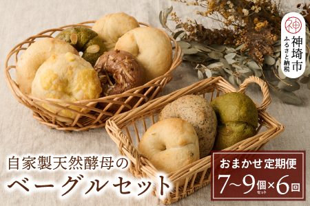 【定期便6回】自家製天然酵母のベーグルセット【パンと器のコネル】(H094121)