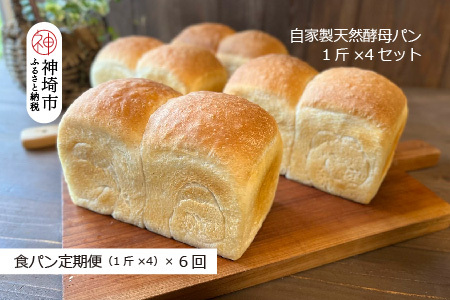 【定期便6回】自家製天然酵母の食パン 4斤【パンと器のコネル】(H094127)