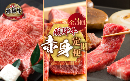 《定期便3回》飛騨牛 赤身定期便 [S486]