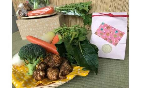 【栽培期間中無農薬＆減農薬】お米(2kg)と季節の野菜（4～5品）のセット 【おいしい ごはん やさい セット グルメ 無農薬 減農薬】（KBE-8）
