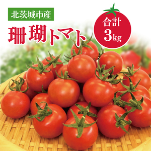 珊瑚トマト　3kg【野菜 トマト とまと ミニトマト みにとまと フルーツトマト 新鮮 リコピン ビタミン】（AX201）
