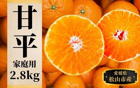 【2027年2月頃から順次発送】【甘平】約2.8ｋｇ（ご家庭用） みかん ブランド 柑橘 フルーツ 果物 愛媛 松山【PT037_x】