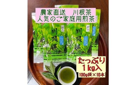 川根茶 ご家庭用 普通煎茶やまびこ１kg (100g袋×10袋セット) お茶 緑茶 川根産 南アルプス 高級茶 自家製茶園 1kg