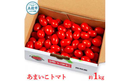 【先行予約】あまいこトマト 約1kg ＜2027年1月?発送＞ / トマト ミニトマト フルーツトマト 糖度7〜8度 高知県産 アイコ アイコトマト 健康 酸味控えめ 美味しい【池トマト】[BQAG025]