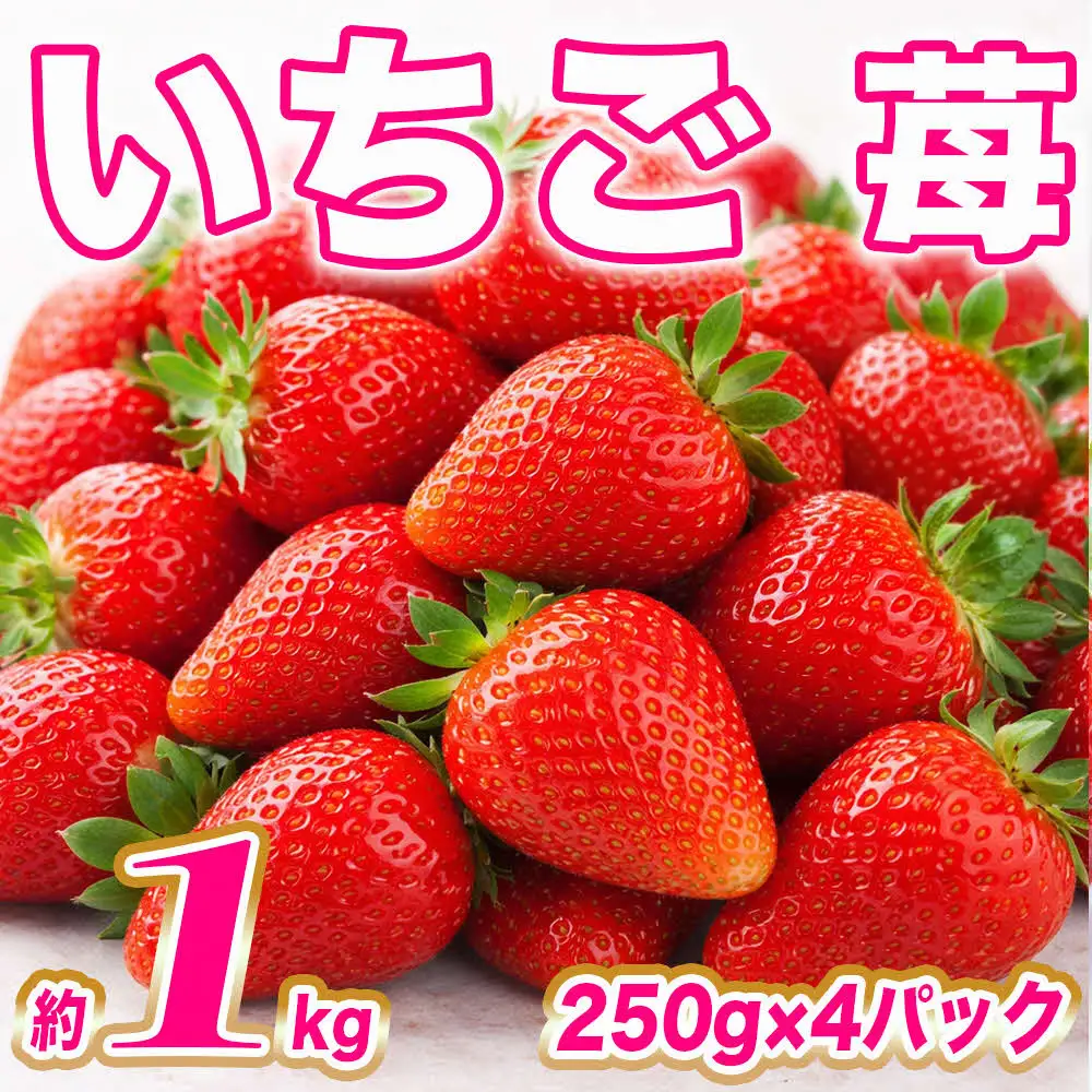 【先行予約】 いちご 約1kg（約250g×4パック） イチゴ 苺 【2027年1月上旬より順次発送】