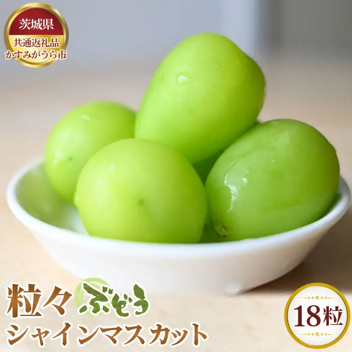 【先行予約】粒々ぶどう18粒　シャインマスカット【茨城県共通返礼品 かすみがうら市】 No.338