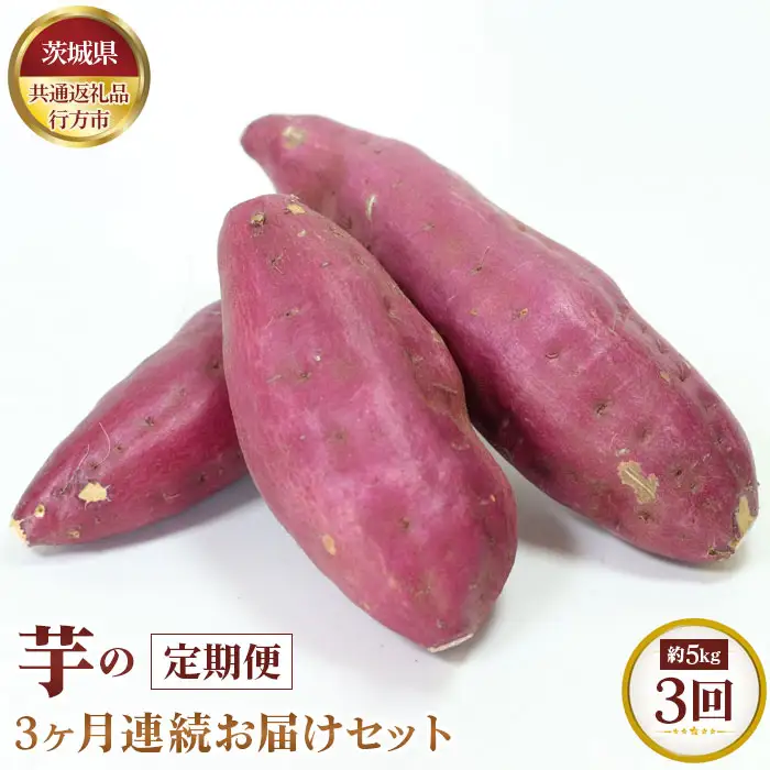 【先行予約】芋の3ヵ月連続お届けセット　約5kg×3回【茨城県共通返礼品 行方市】 No.371
