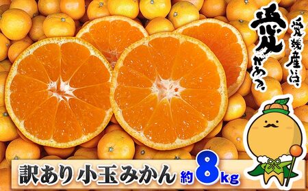 小玉みかん 訳あり 小玉 みかん 8kg 中井屋 【 訳あり みかん 】 B010-173002
