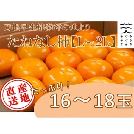 【R8年10月以降発送】刀根早生柿発祥の地※より「たねなし柿」L~2L(1段箱16～18玉)_果物・フルーツ 柿（カキ）  かき_【配送不可地域：離島】【1434467】