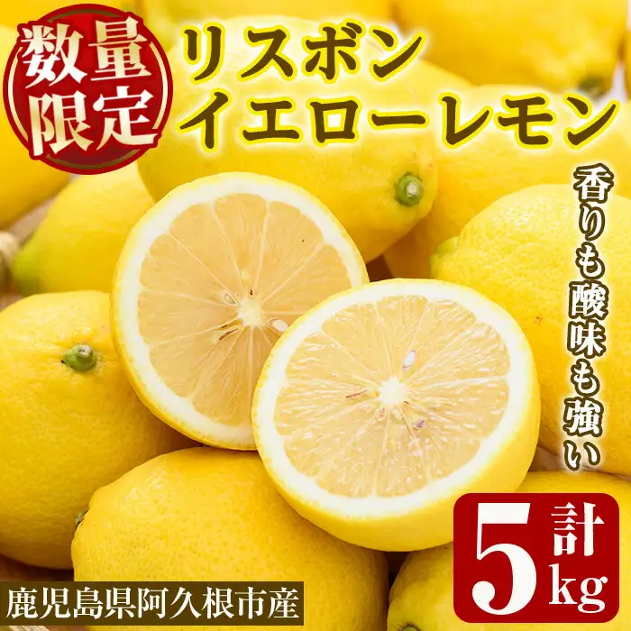 数量限定！リスボンイエローレモン(5kg) 国産 果実 果物 リスボンレモン フルーツ 檸檬 柑橘 デザート 期間限定【桐野柑橘株式会社】akn070-15