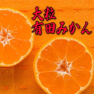 【訳あり・ご家庭用】完熟有田みかん  サイズ混合(2L～4L)　約5.2kg(5kg+200g)【2026年11月中旬～1月中旬頃に順次発送予定】【AA90080-ard225A】
