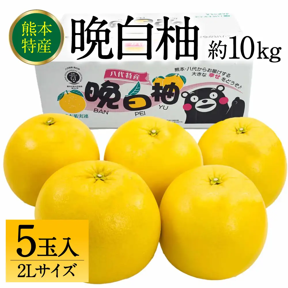 【先行予約】 晩白柚 ばんぺいゆ 2Lサイズ 5玉 約10kg 晩白柚 柑橘 【2026年12月上旬より順次発送】