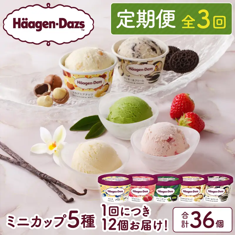 ＜全3回・連続＞お試し定期便！ミニカップ セット ミルクアイス アイススイーツ アイスデザート アイス デザート スイーツ アイスクリーム バニラ ストロベリー グリーンティー クッキー＆クリーム マカデミアナッツ いちご 抹茶 人気 おすすめ お取り寄せ 北海道 浜中町 冷凍 送料無料_H0016-157