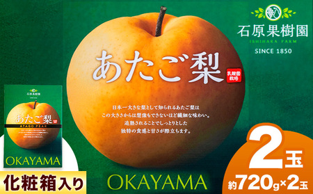 【2026年先行予約】あたご 梨 約720g×2玉 化粧箱 石原果樹園 《11月中旬-12月下旬頃より発送予定》岡山県 浅口市 フルーツ 果物 ギフト 贈り物 国産 岡山県産 送料無料