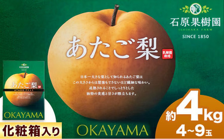 【先行予約】あたご 梨 4～9玉（約4kg）化粧箱 石原果樹園 《11月中旬-12月下旬頃より発送予定》岡山県 浅口市 フルーツ 果物 ギフト 贈り物 国産 岡山県産 送料無料