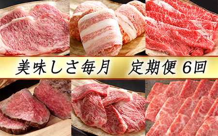 近江牛 定期便 6か月 6回 カネ吉山本 おいしさ毎月便 -喜- Y092W 牛肉 ハンバーグ ローストビーフ 焼肉