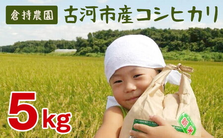【令和7年産】古河市産　コシヒカリ5kg【倉持農園】 | 米 着日指定可 _AN03 ※2025年11月上旬頃より順次発送予定