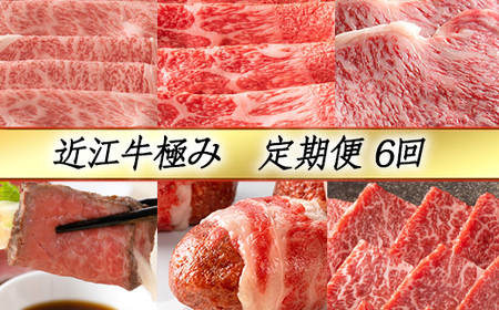 近江牛 定期便 6か月 6回 カネ吉山本 極み定期便 -禄- Y132W 牛肉 すき焼き しゃぶしゃぶ ステーキ ローストビーフ ハンバーグ 焼肉