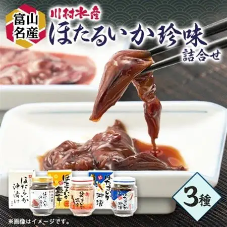 川村水産　ほたるいか塩辛・沖漬　3本_魚介・海産物   _【配送不可地域：離島】【1234337】